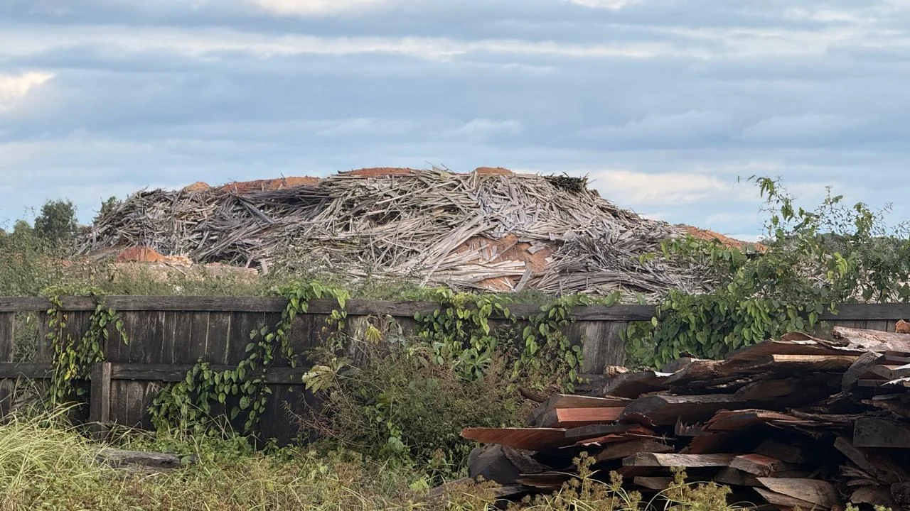 Grande volume de resíduos de madeira estocado para reaproveitamento energético e ambiental